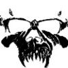 dusteez530